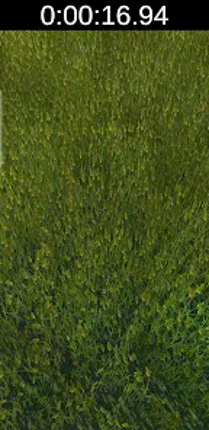 Touch Some Grass Image