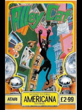 Alley Cat Image