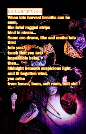 Autumn Elementals: Beings of Soil and Wet Fallen Leaves: in three visions screenshot