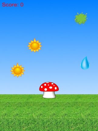 Collect Water And Sunlight: Grow Cute Mushroom Free Image