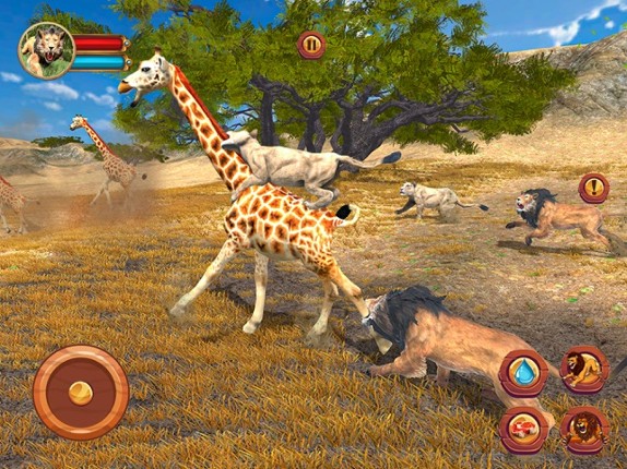 Lion Simulator - Safari Animal screenshot