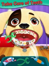 Pet Animal Dentist Image