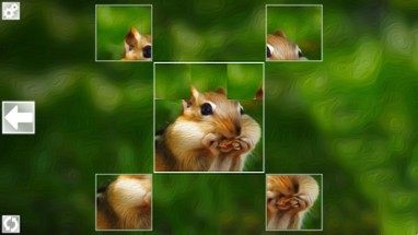 Puzzle Art: Rodents Image