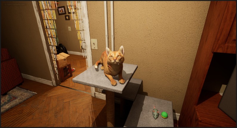 Cartier 06 screenshot