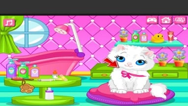 Cat Care Game Image