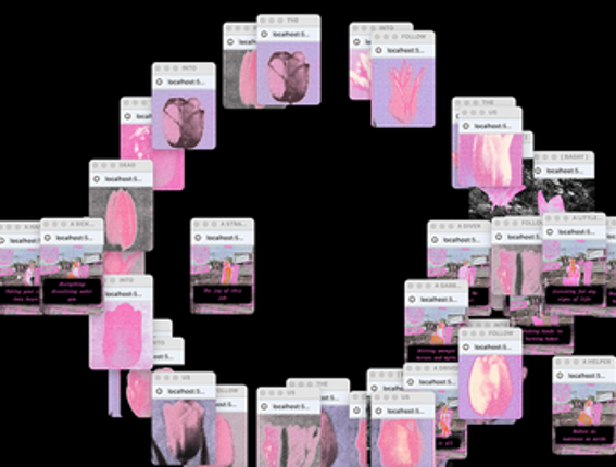 here, flower picking, manila north Image