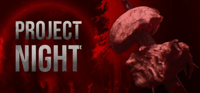Project Night Image