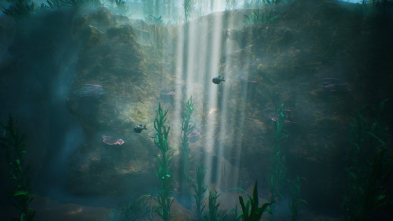 Tidepool screenshot