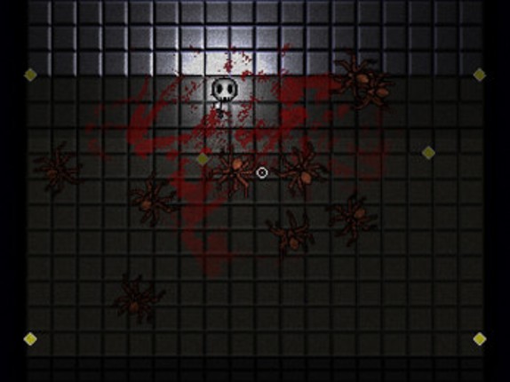 ARACHNAFOE Image