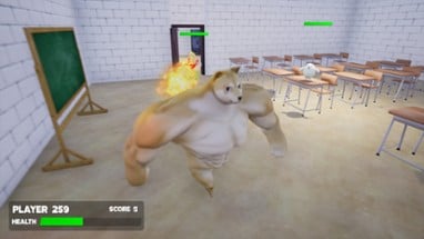 DogeFight Image