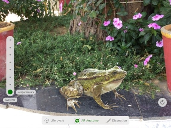 Froggipedia by Embibe screenshot