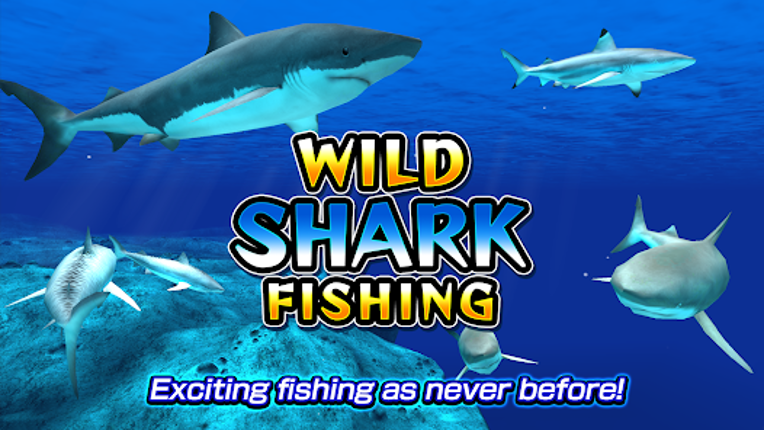 Wild Shark Fishing Image