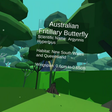 Butterfly Catcher Image