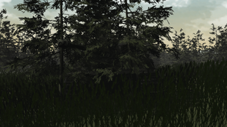 Tiger Story Image