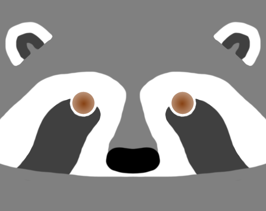 Raccoon Rendezvous Image