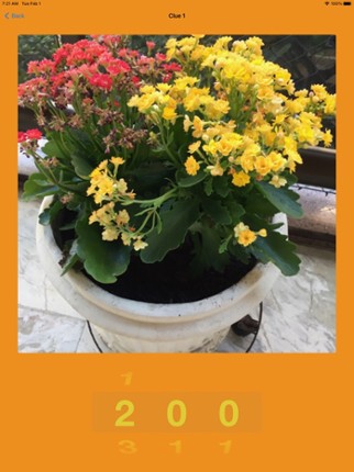 Treasure Hunt By Photos screenshot