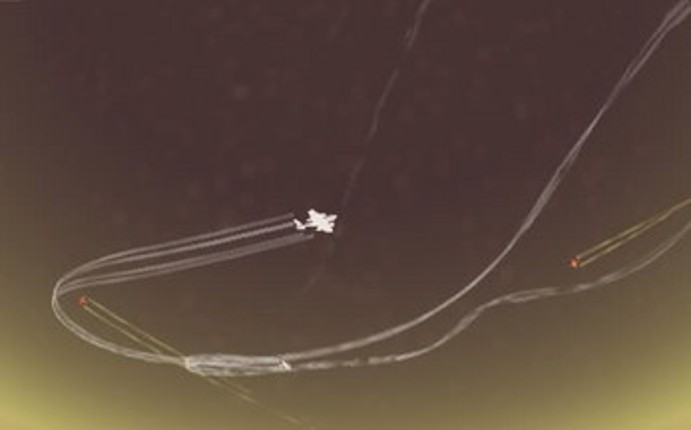 Venus Patrol Image
