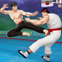 Karate Fighter Image