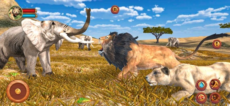 Lion Simulator - Safari Animal screenshot