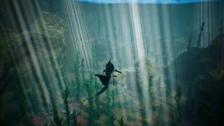 Tidepool Image