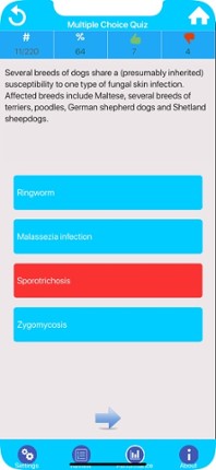 Veterinary Medicine Practice Image