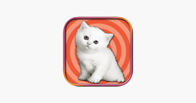 Adorable Kitten Run – Pet Simulation game 2017 Image