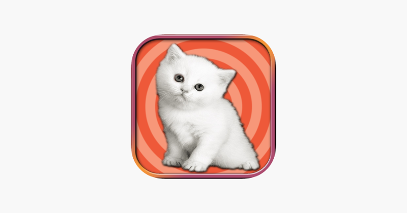 Adorable Kitten Run – Pet Simulation game 2017 Game Cover