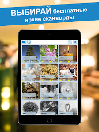 Crossword puzzles - My Zaika screenshot