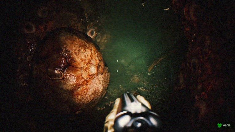 GUTTED: Infested Crypts Image