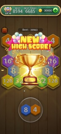 Hexa Number Puzzle screenshot