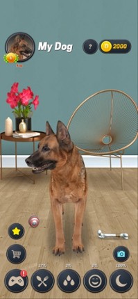 My Dog (Dog Simulator) screenshot