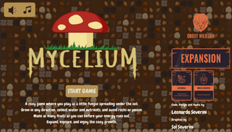 Mycelium Image