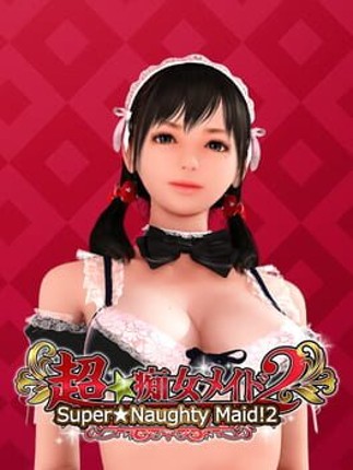 Super Naughty Maid 2 Game Cover