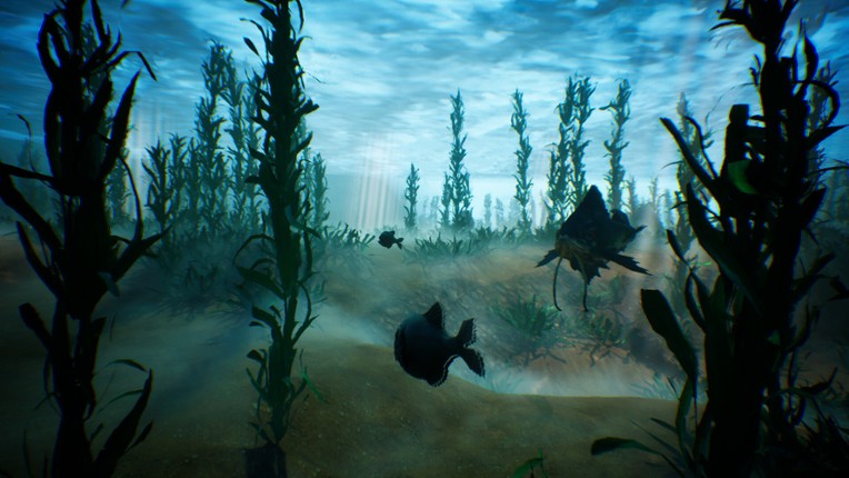 Tidepool screenshot