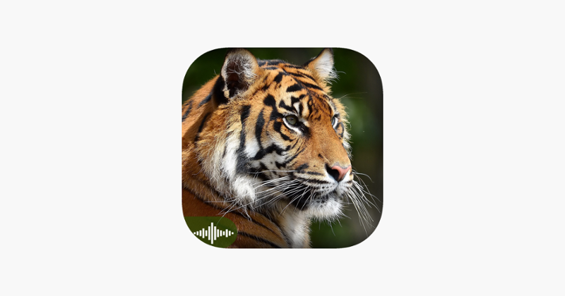 Animal Sounds Puzzles for Kids Image
