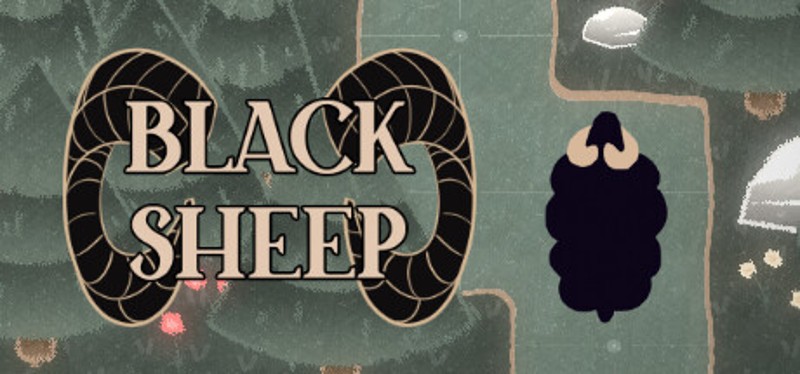 Black Sheep Image