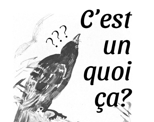 C'est un quoi ça? Game Cover