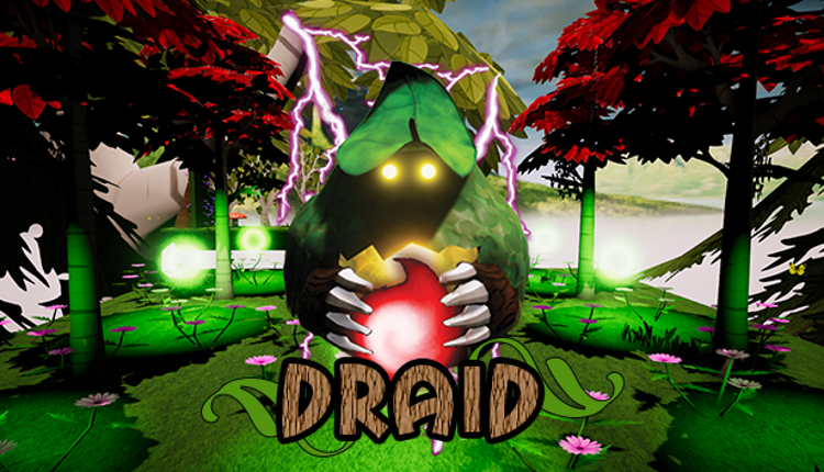 Draid Image