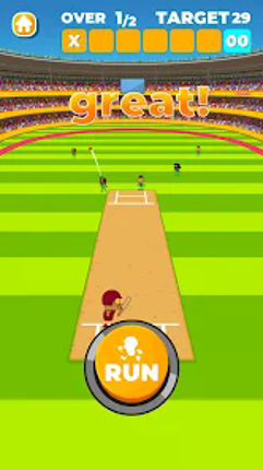 Cricket Game screenshot