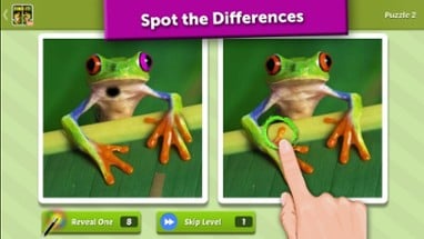 Guess the Difference? Spot It! Image