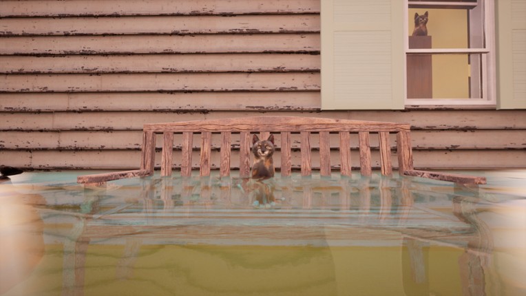 Ninja Cats screenshot