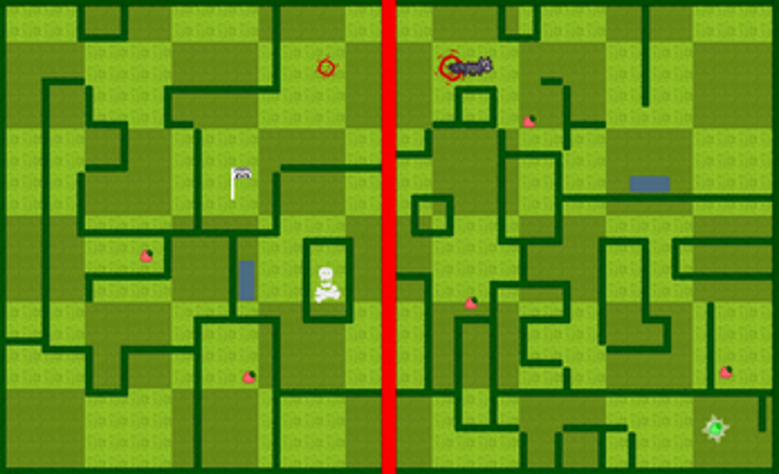 Raccoon Rendezvous Image