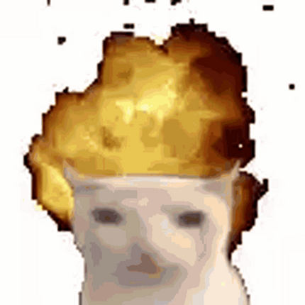 Slender Tabbys Image