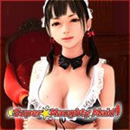 Super Naughty Maid 1 Image