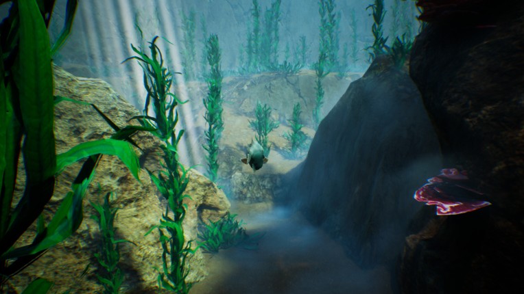 Tidepool screenshot