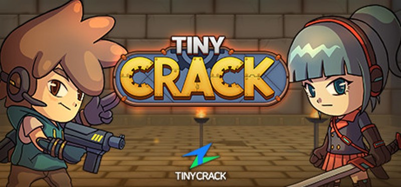TinyCrack Image