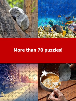 Ultimate Puzzle Games screenshot