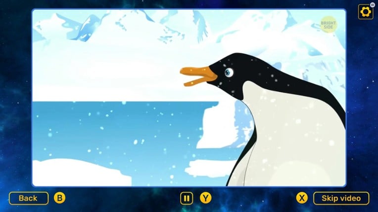 Bright Side: Quiz Image