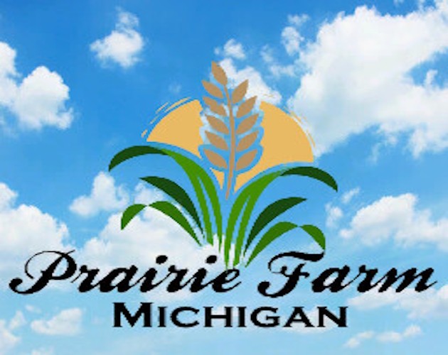 Games like Prairie Farm Michigan FS25