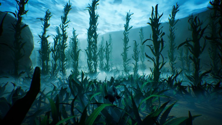 Tidepool screenshot